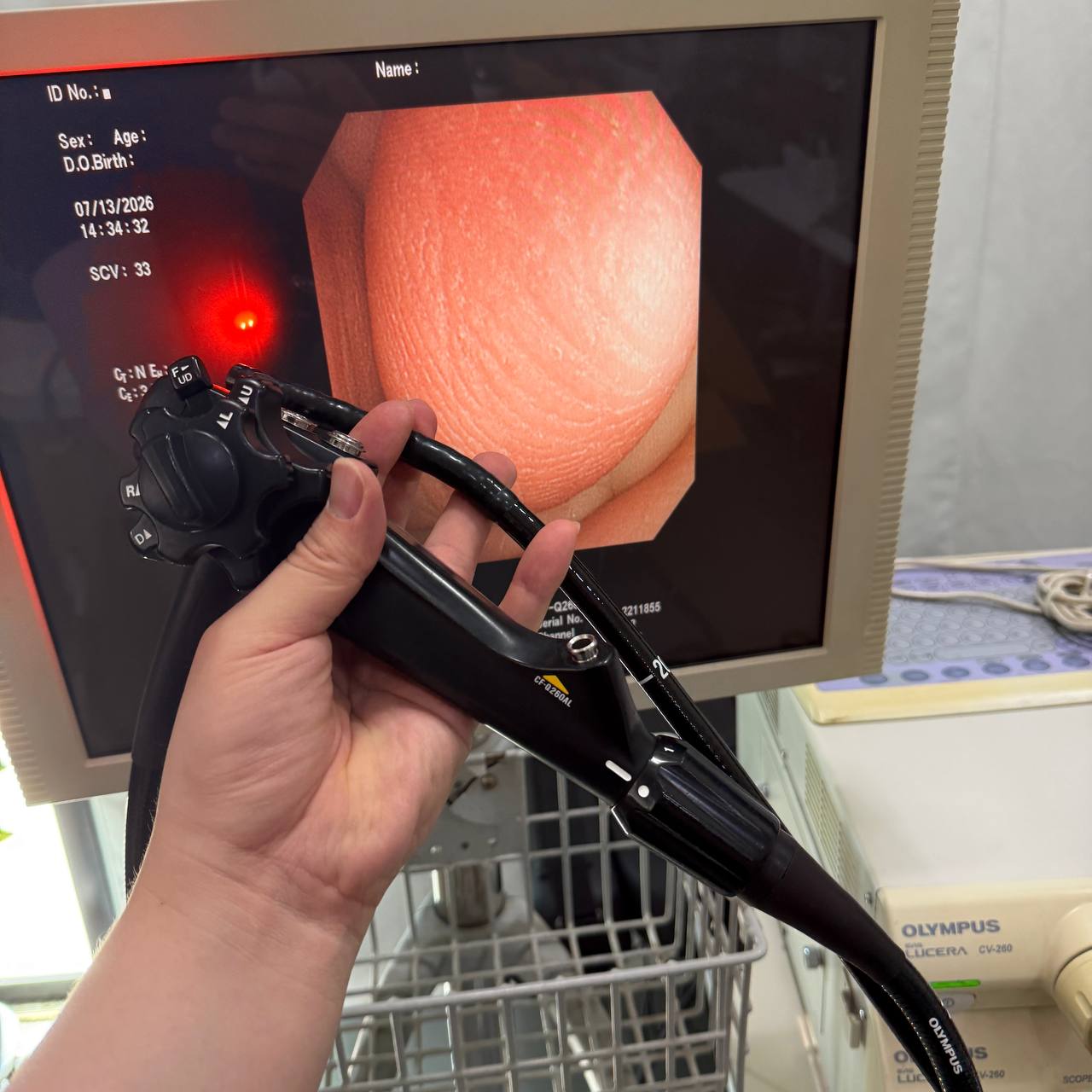 올림푸스 CF-Q260AL Colonoscope - photo 2