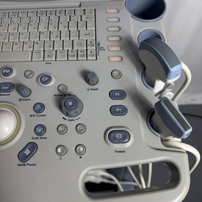 GE헬스케어 로직 P6 (LOGIQ P6) Ultrasound System - photo 7