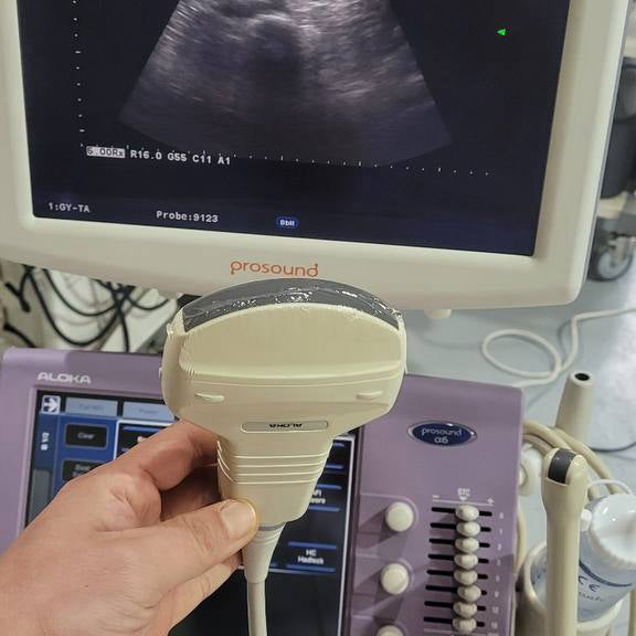 알로카 ProSound Alpha 6 Ultrasound System - photo 20