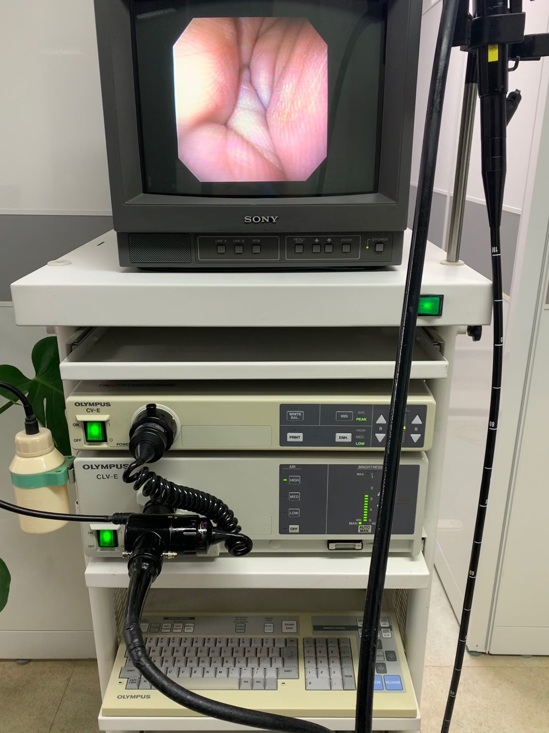 Olympus Endoscope GIF Gastroscope For CV-E