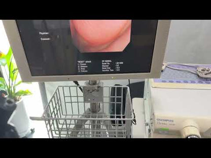 Used Olympus CF-Q260AL Colonoscope for Sale